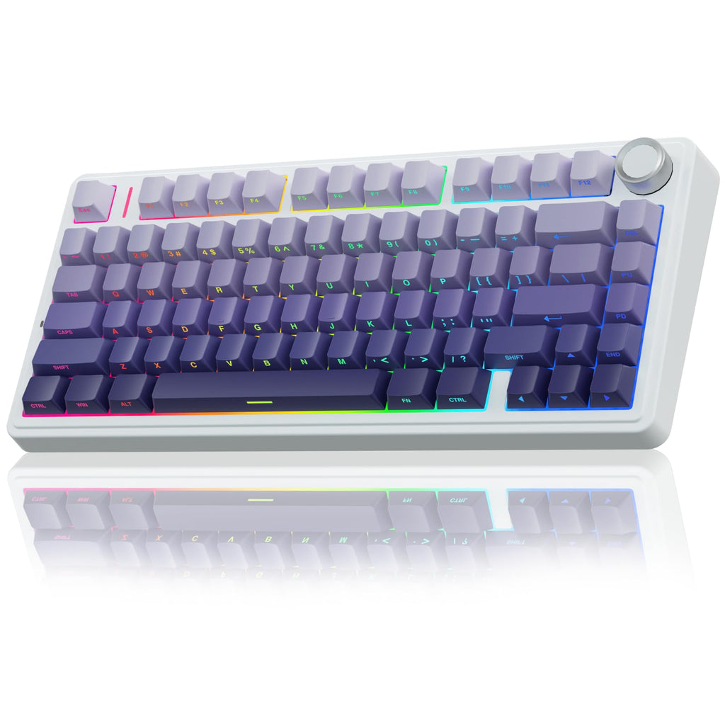 Wireless Gaming Keyboard with RGB and Hot Swap Switches