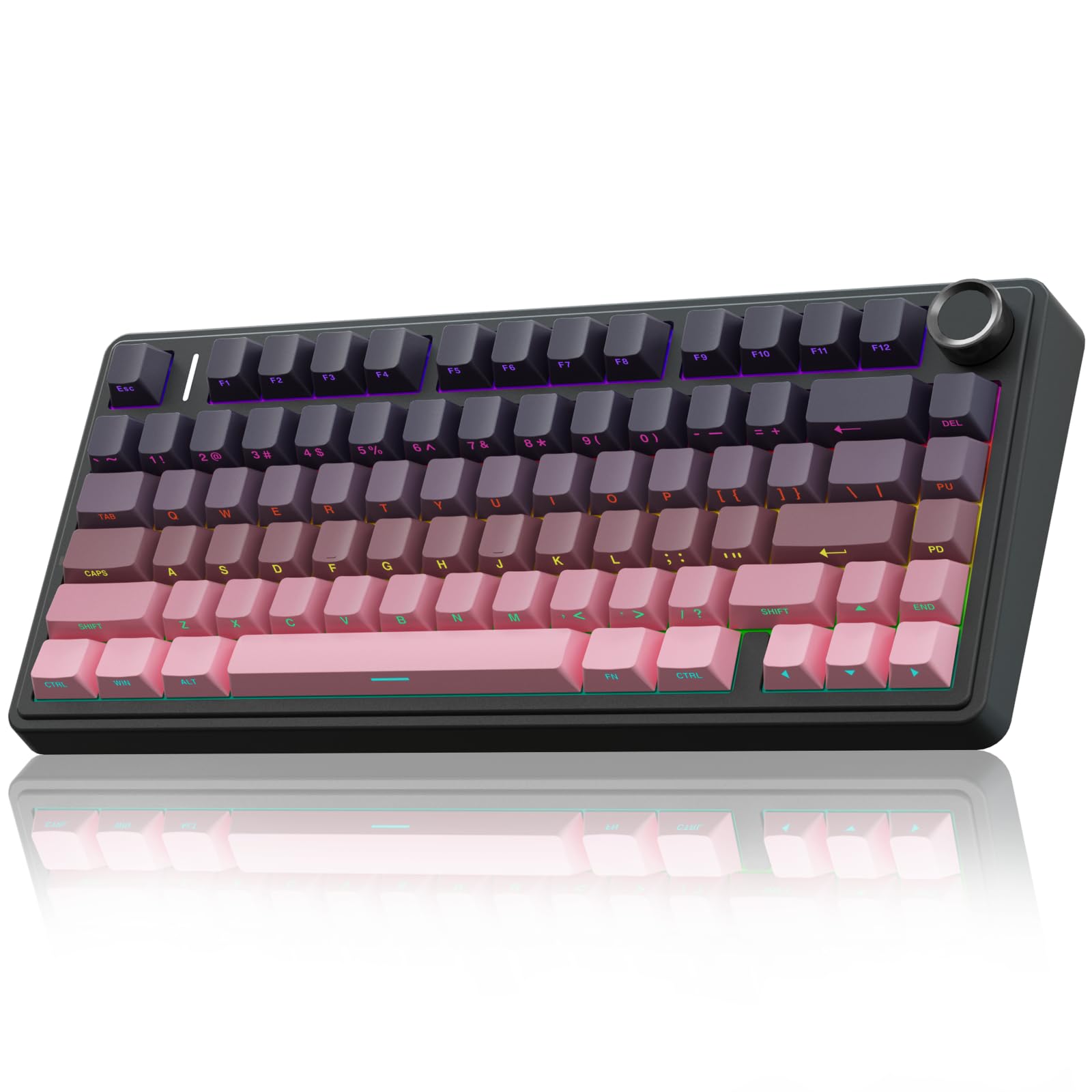 Wireless Gaming Keyboard with RGB and Hot Swap Switches