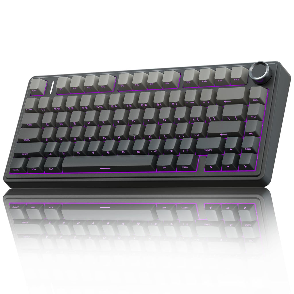 Wireless Gaming Keyboard with RGB and Hot Swap Switches