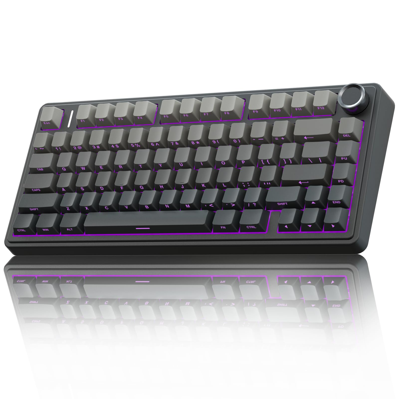 Wireless Gaming Keyboard with RGB and Hot Swap Switches