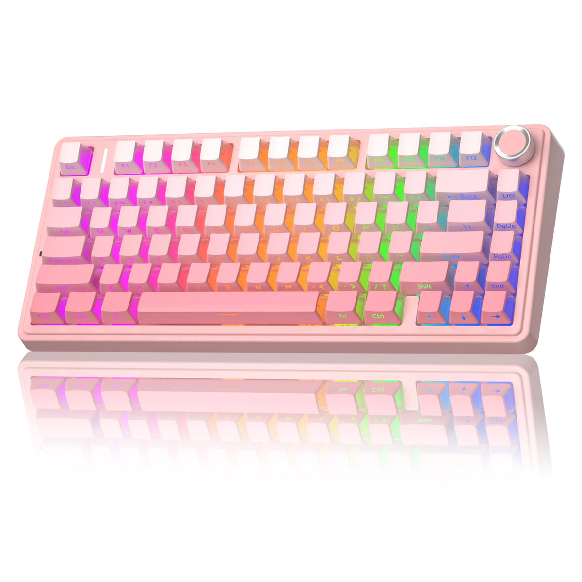 Wireless Gaming Keyboard with RGB and Hot Swap Switches