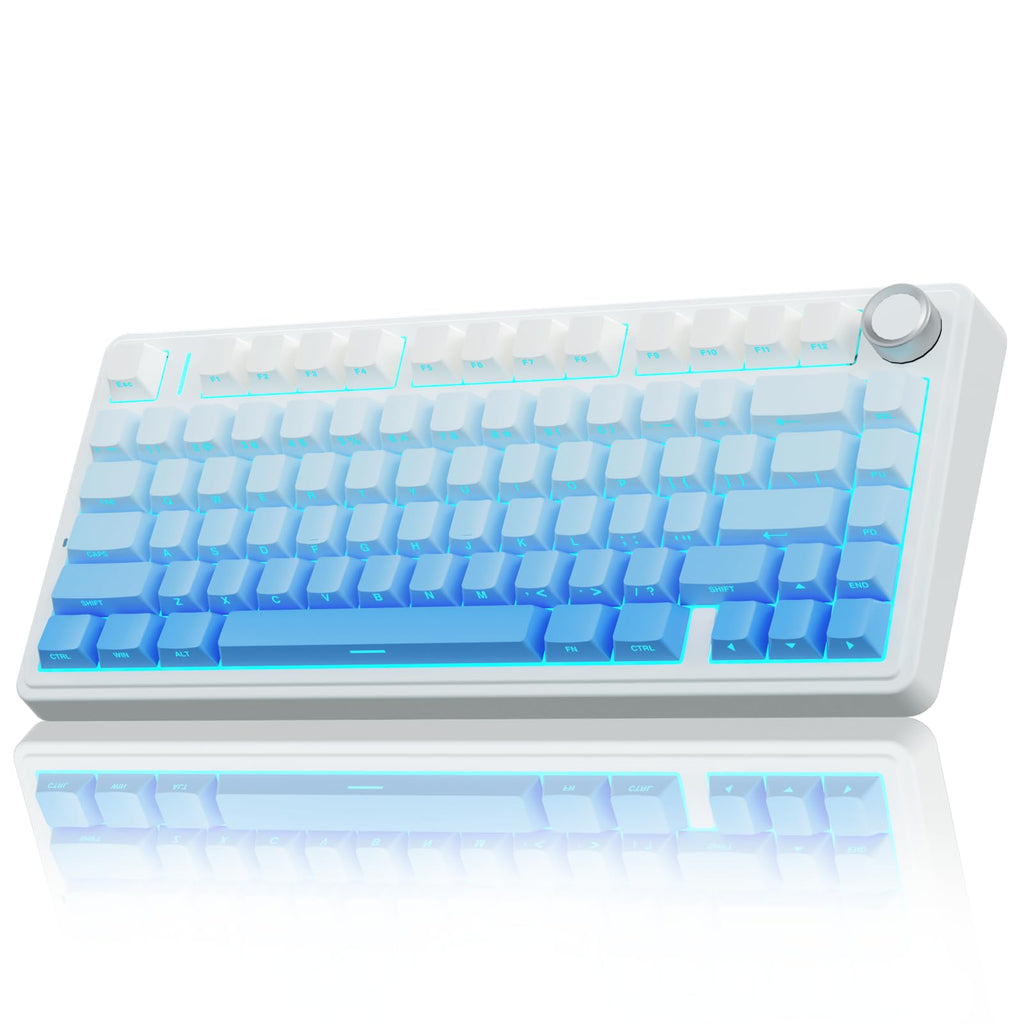 Wireless Gaming Keyboard with RGB and Hot Swap Switches