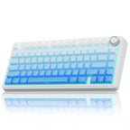 Wireless Gaming Keyboard with RGB and Hot Swap Switches