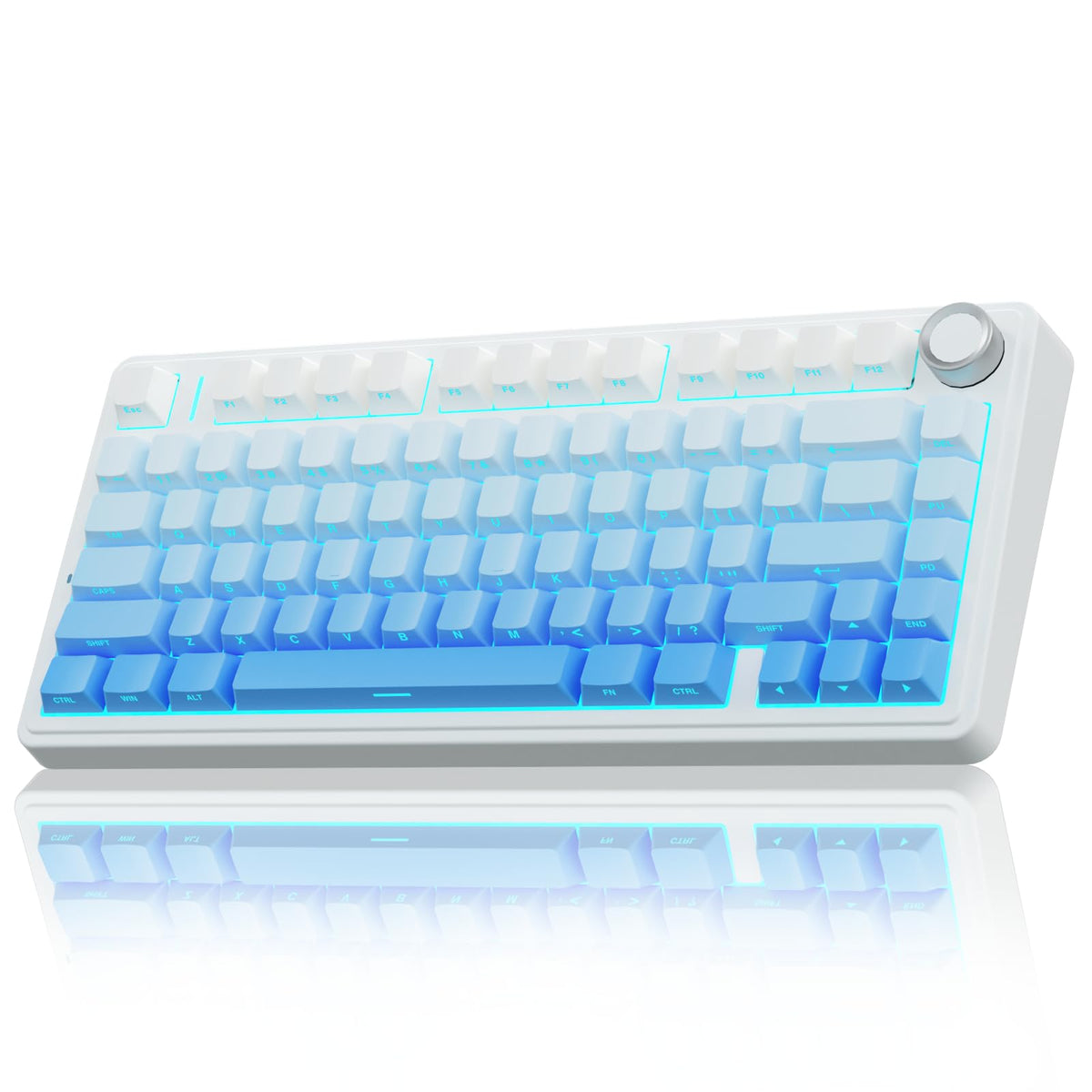 Wireless Gaming Keyboard with RGB and Hot Swap Switches
