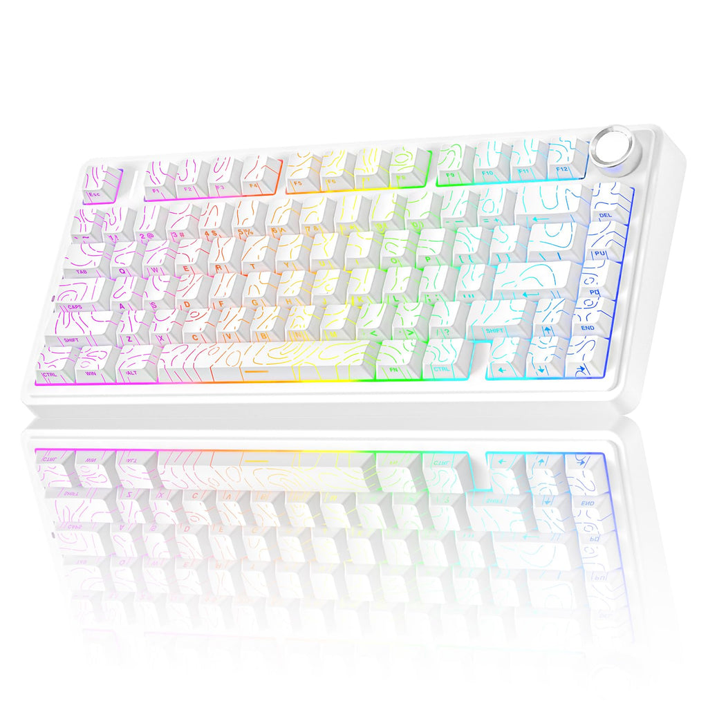 Wireless Gaming Keyboard with RGB and Hot Swap Switches