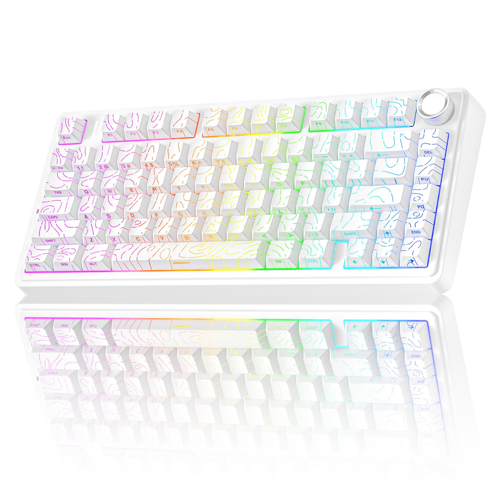 Wireless Gaming Keyboard with RGB and Hot Swap Switches